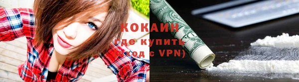 спайс Алзамай