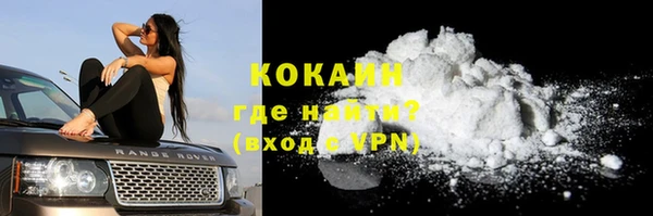 спайс Алзамай