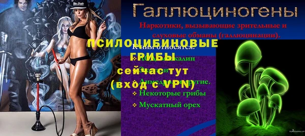 ешки Алексин