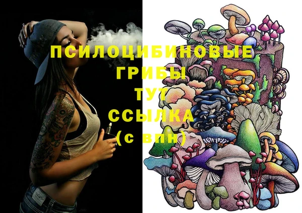 спайс Алзамай